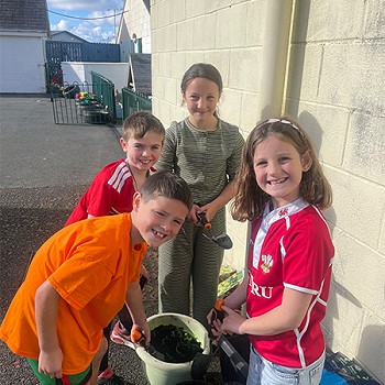 Grwp o plant yn mwynhau ei amser yn plannu bwlbiau cenin pedr