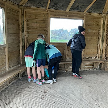 plant blwyddyn 4 yn cymryd rhan yn yr arolwg adar