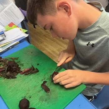 Bachgen yn canolbwyntio wrth torri beetroot yn y dosbarth
