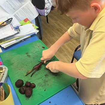 Bachgen yn torri llysieuyn yn y dosbarth